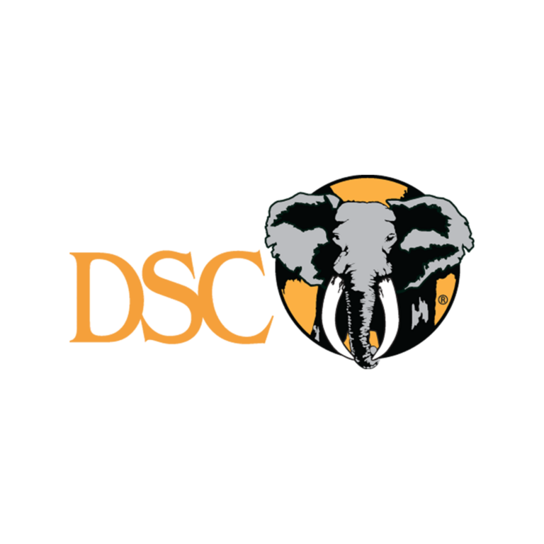 DSC-logo-Custom